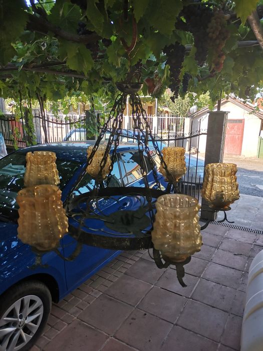 Полилей от кована мед