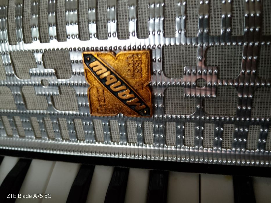 Детски акордеон 4+