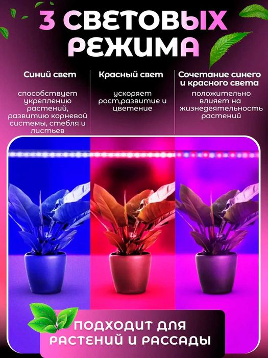 Фитолампа для растений. Полный спектр. С таймером. 2/4/5 лучей.