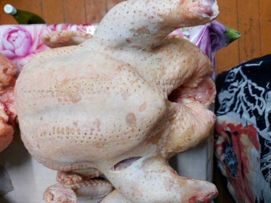 Свежие домашние бройлеры