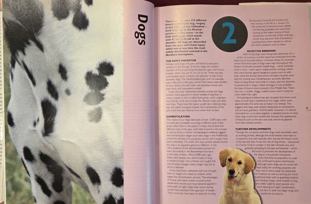 Енциклопедия за домашни любимци / The Hamlyn Family Pet Care Encyclopedia