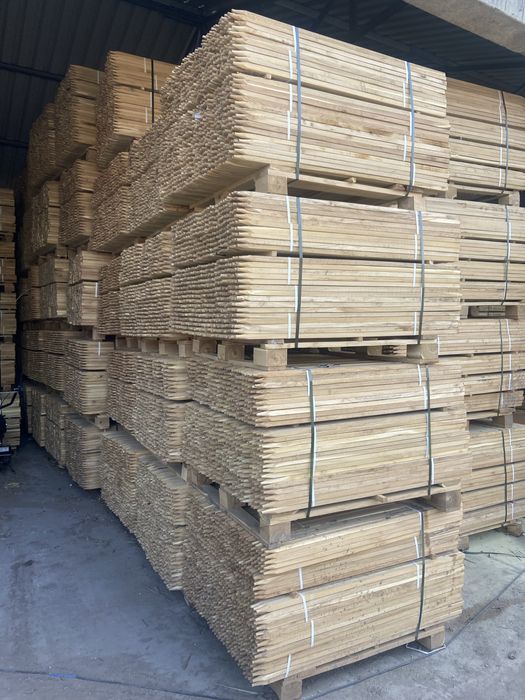 Tarusi prismatici, lemn salcam