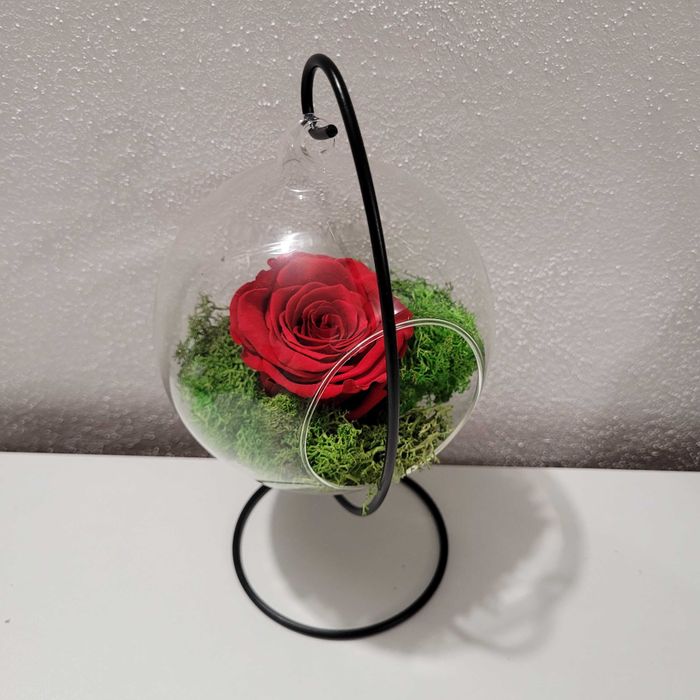 Ornament cu lichieni