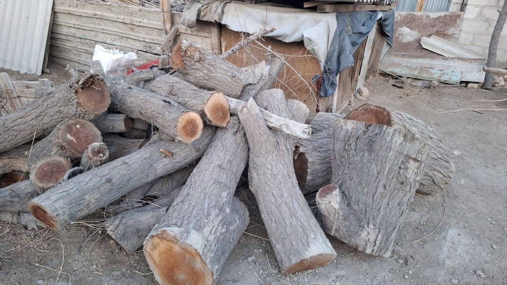 Утин сотилади...