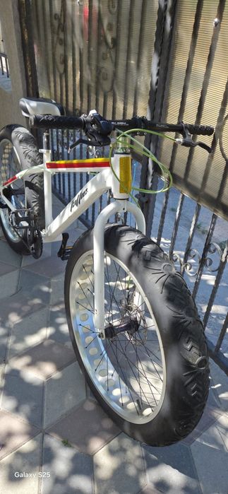 Bicicleta Fat Bike