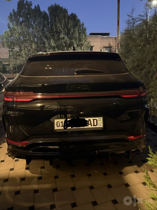 Byd chempion gibrid