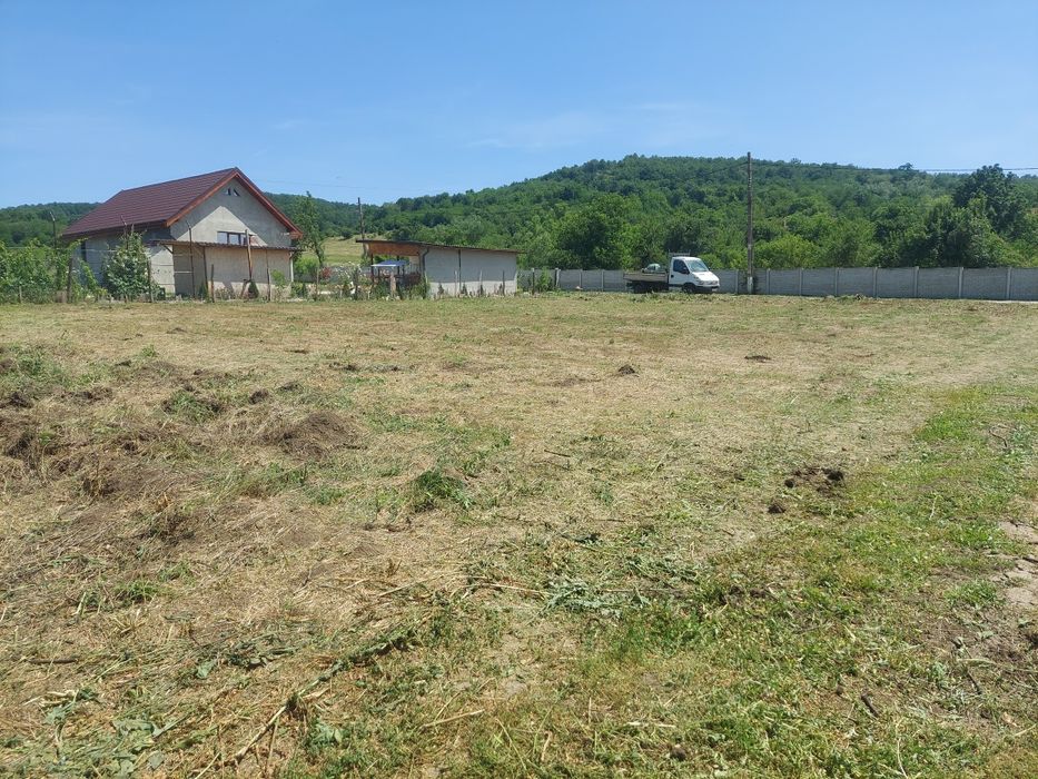 Tuns iarbă / Cosit gazon – Rapid, Curat și Profesional