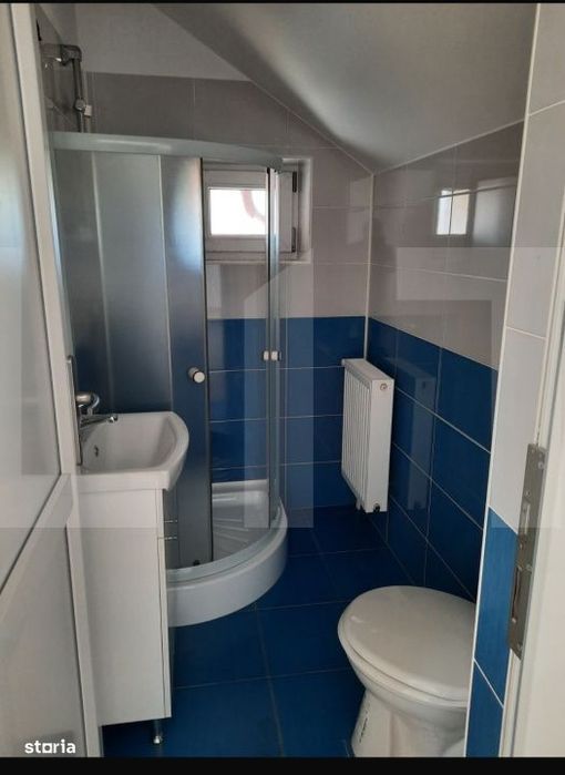 Casa+Spatiu Pentru Afacere/Locuit Iancu Jianu