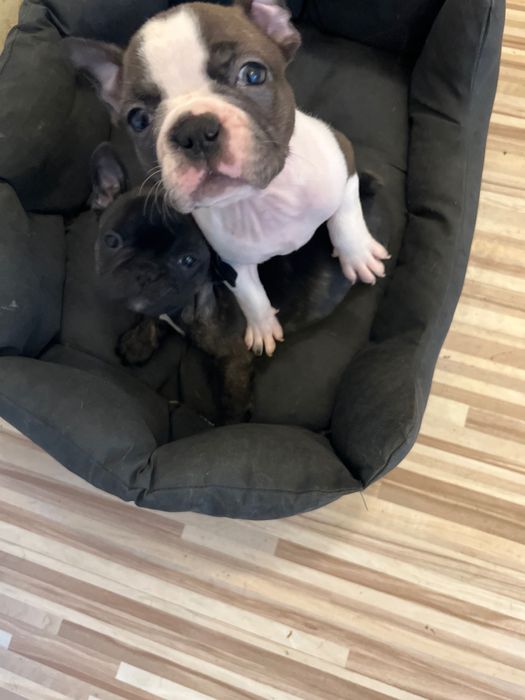 Търсим си любящи семейства