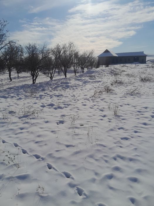 Йер учаскаси 10 сотих келишиьган холда