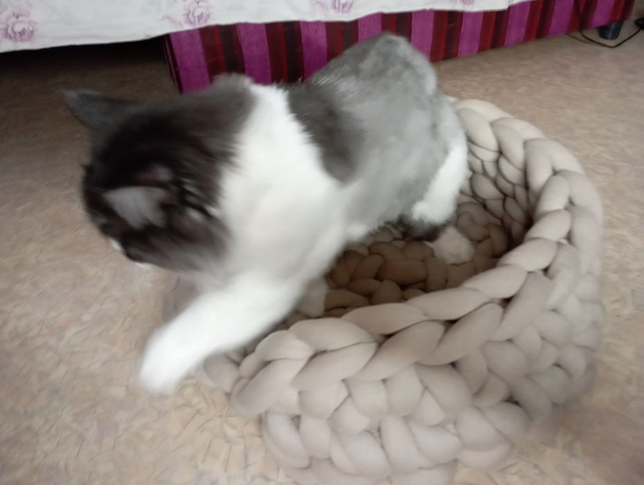 Лежанка для кошечки или собачки.