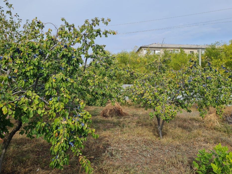 Участок 5 соток земля