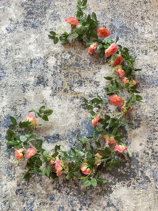 Декоративные цветы