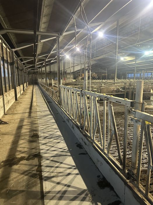 Fronturi furajare cu auto-blocare