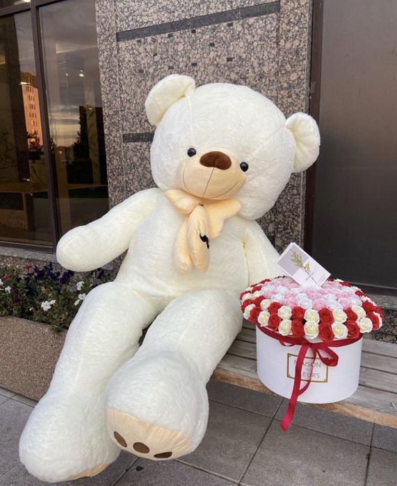 мишки мишка аю МИШКИ