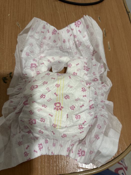 Подгузники для котят, собачат, крольчат