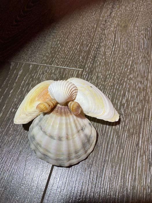 Scoica handmade ingeras