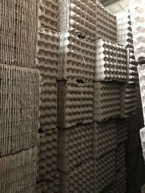 Лотки для яиц (бугорчатка тара, каретки)