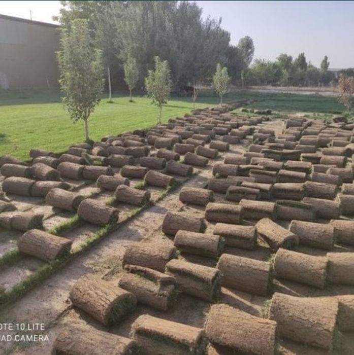 Yevro gazon ekish hizmatlari palif sistema