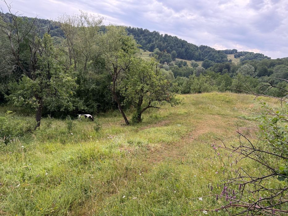 Teren intravilan in zona Valenii de Munte