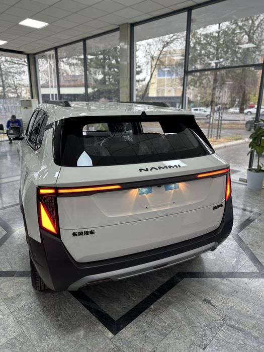 DONGFENG Nammi 06 401km