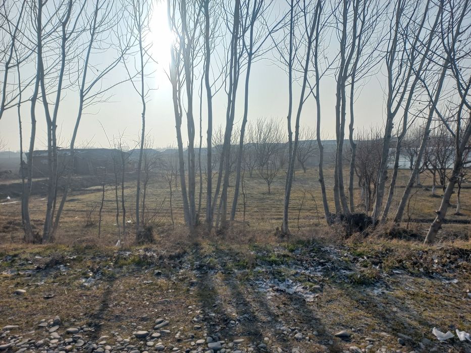 Тохиршайх МФЙ Тохиршайх