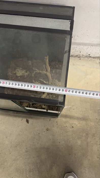 Терариум за отглеждане на влечуги.