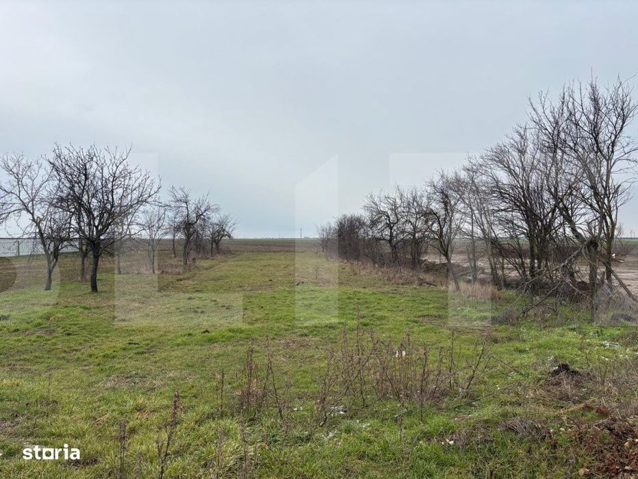 Proprietate cu livada de vanzare 1500mp , aproape de Arad