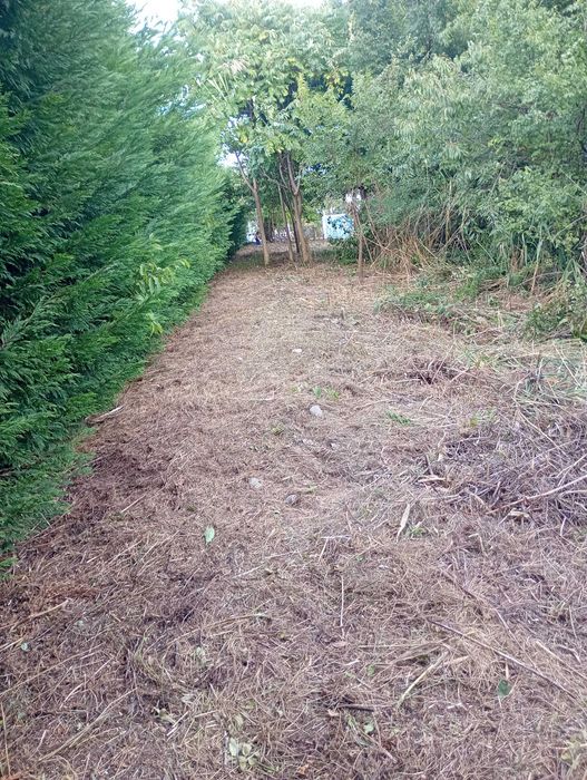 Косене на трева ,  почистване на дворове и рязане на опасни дървета