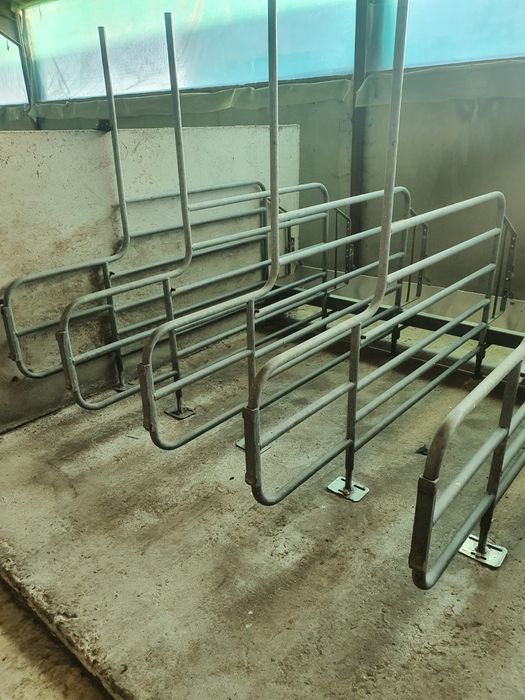 Panouri Boxe zincate  animale scroafe porci vitei zincate