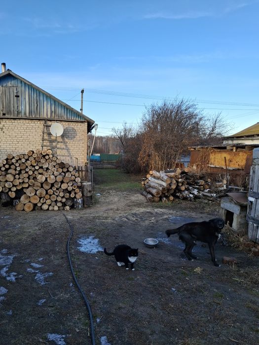 Продам дом в Боголюбово.