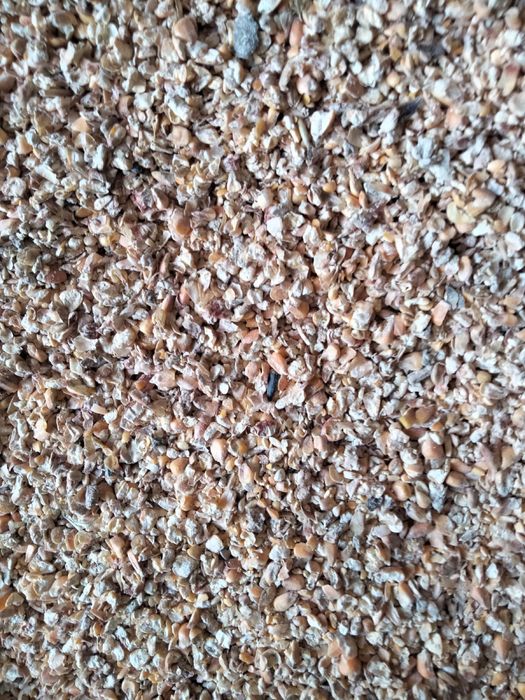 Продам отходы кукурузы