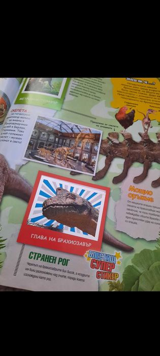 БИЛА Стикер-Албум Праисторическите времена