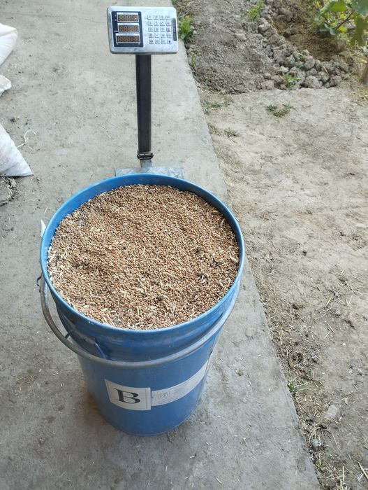 Bochka 70 litrli temir