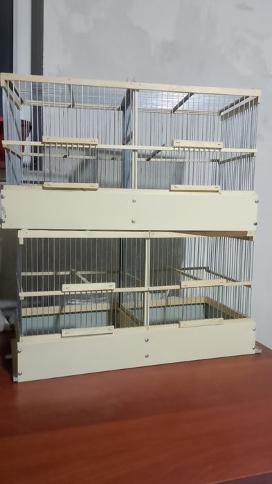 Балшие клетки валеры