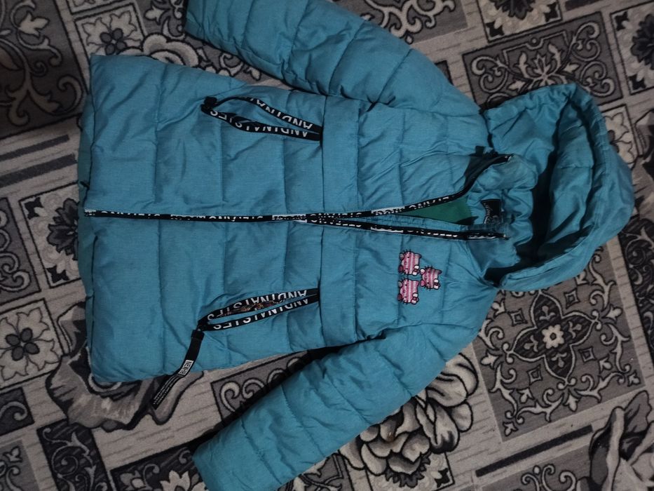 Куртки на девочку 5000