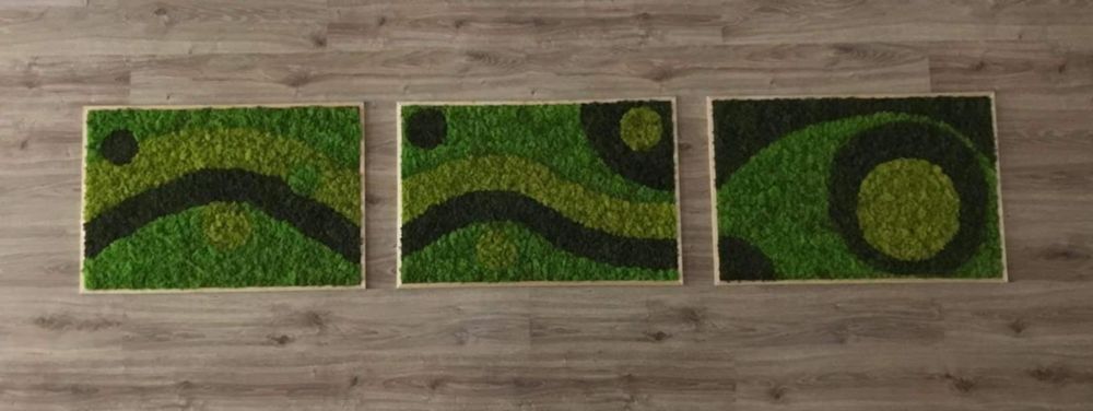 Картини от скандинавски мъх - природа във вашия дом