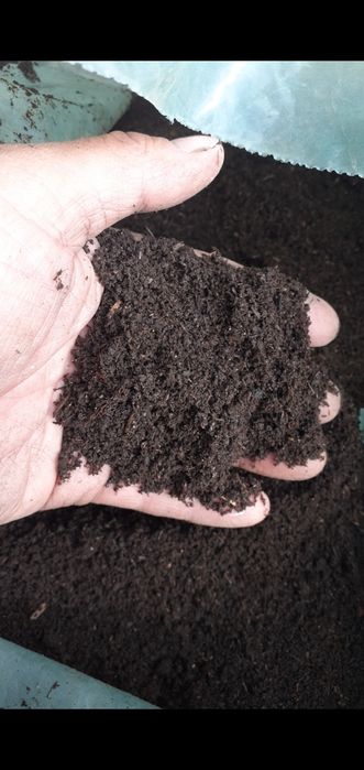 червы шылаушын биогумус