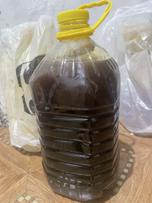 Мед разготрав, гречиха