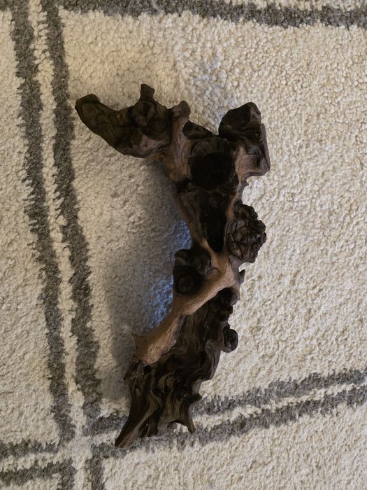 Decor acvariu , terrariu