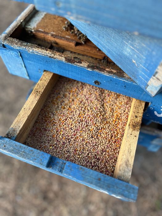 Мед-реколта 2025г.- букет- липа, акация и горски билки- /Пчелен прашец