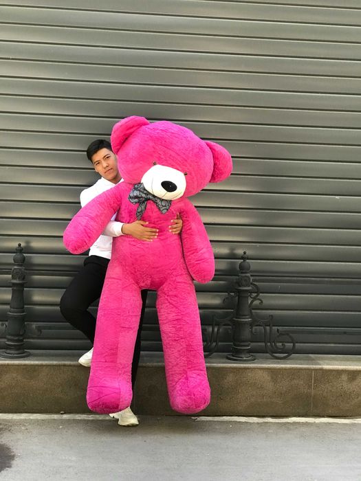 Акция Мягкие Игрушки Плюшевые Панда Скидка Тедди Большие Мишки