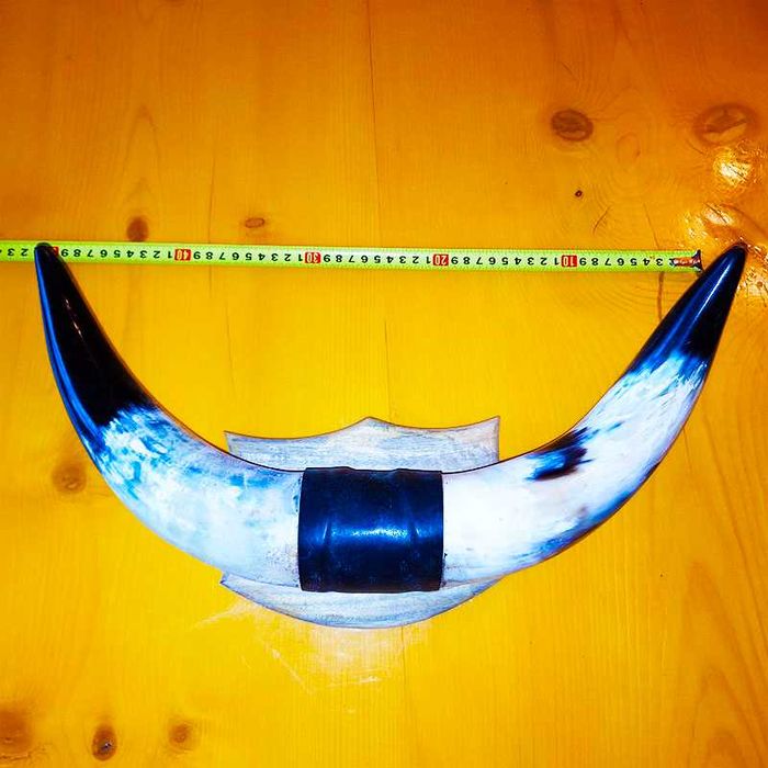 Декорация от рога на воден бивол