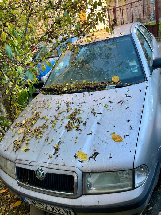 Vând în Lugoj Skoda Octavia Tour M1 AA berlină pe motorină motor AXR 1.9 TDI 101 CP 74 kw achiziționată nouă la 21.11.2008.