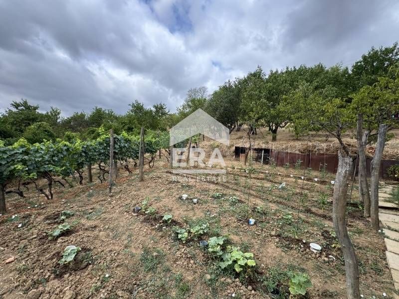 Продава се Парцел в с. Калипетрово, Област Силистра - 1200 кв.м за 9 €/кв.м - Снимка #4