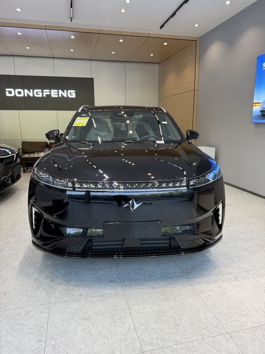 Dongfeng 008 full 2026