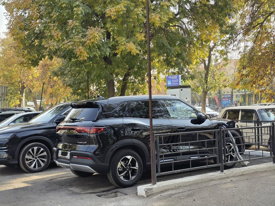 Other Yuan Up 2025 — 6