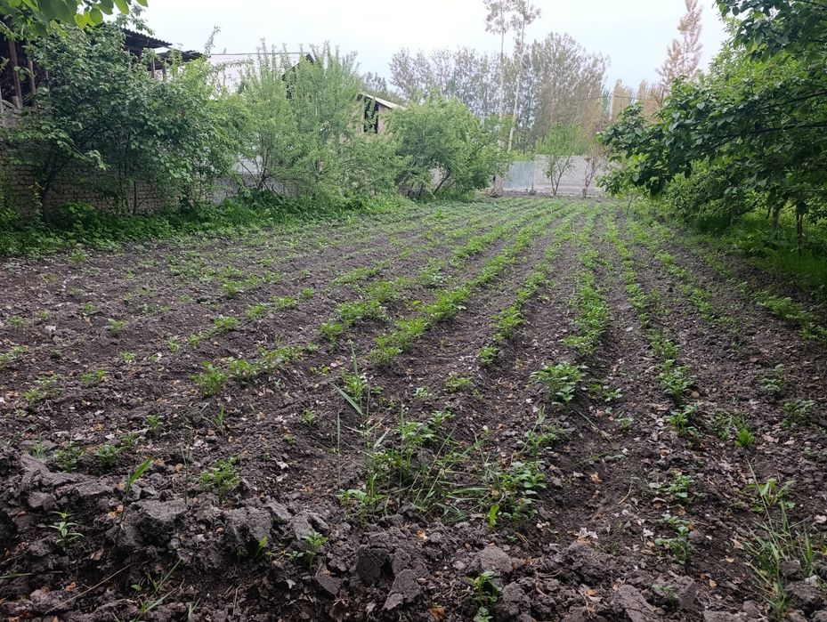 Ер участка сотилади 1 сотих 4000s