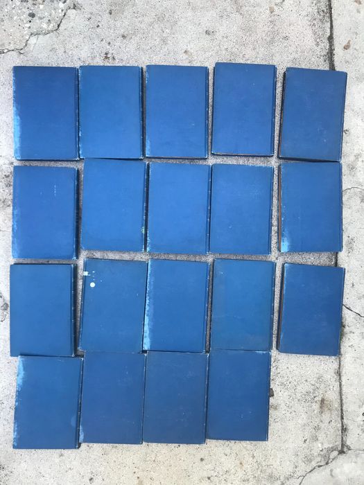 19 тома от произведенията на сър Уолтър Скот