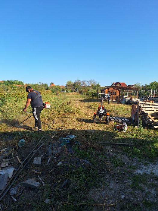 Servicii spatii verzi/ defrisari terenuri
